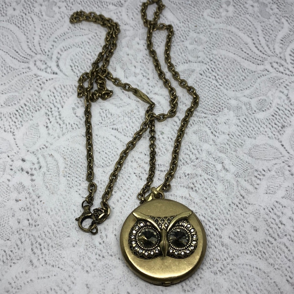Fossil brand antique brass tone long locket owl pendant chain necklace boho